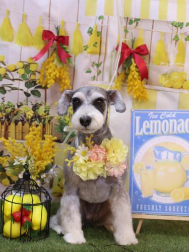 20240427ふたばちゃん